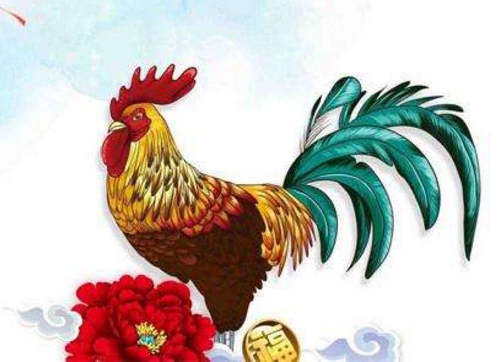 家家户户是什么生肖、全面解答与解释