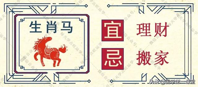 蛇入鼠出，揭秘生肖之谜与积极生活态度的完美融合