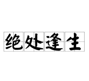 绝处逢生，生肖中的智慧与启示