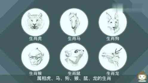 雪高三尺云上天,揭秘生肖之谜 雪高三尺云上天,揭秘生肖之谜