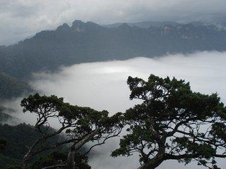 揭晓龟鹤之年的奥秘,一探究竟的动物谜底 揭晓龟鹤之年的奥秘,一探究竟的动物谜底