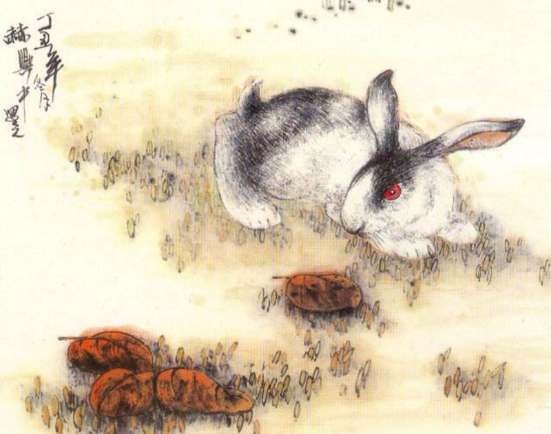 虚掷光阴的最佳生肖,生肖兔的深度剖析 虚掷光阴的最佳生肖,生肖兔的深度剖析