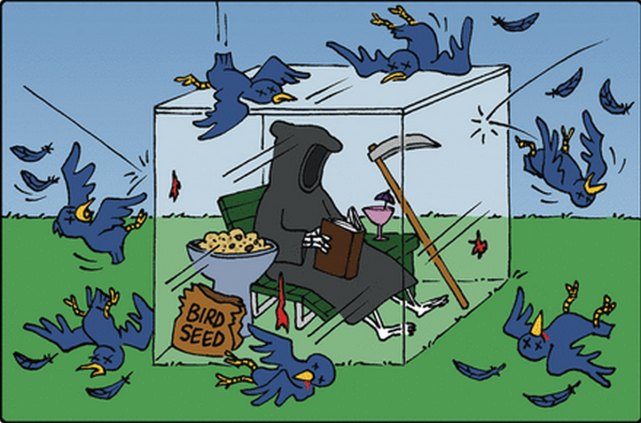 头撞南墙的动物与前沿解读，探索动物行为背后的智慧