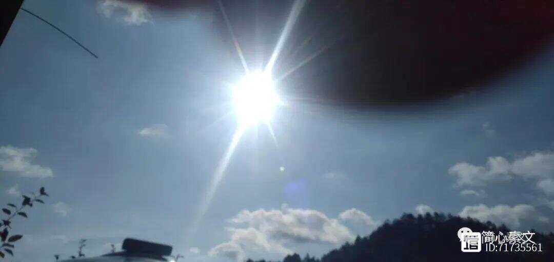 烈日当空打一准确生肖:词语解析解答落实