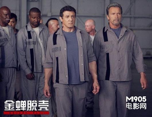 揭秘金蝉脱壳，生肖背后的智慧与寓意