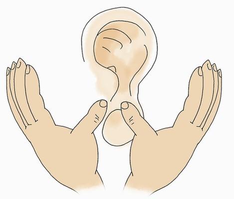 耳聪目明，揭秘生肖中的智慧之选