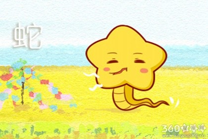 自讨没趣打一最佳生肖:精准解答落实