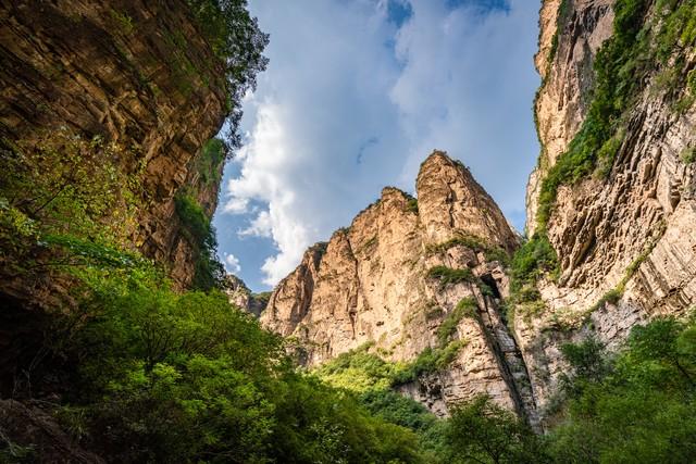 谜语解析，左右开弓打一正确生肖—揭秘虎的智慧与力量