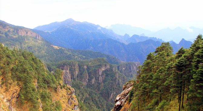 极目四望,探索最新解释下动物行为的奥秘 极目四望,探索最新解释下动物行为的奥秘