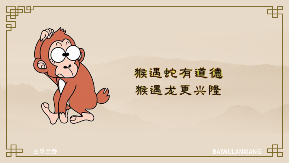 痴呆懵懂与生肖的奥秘，全面揭晓与解释落实