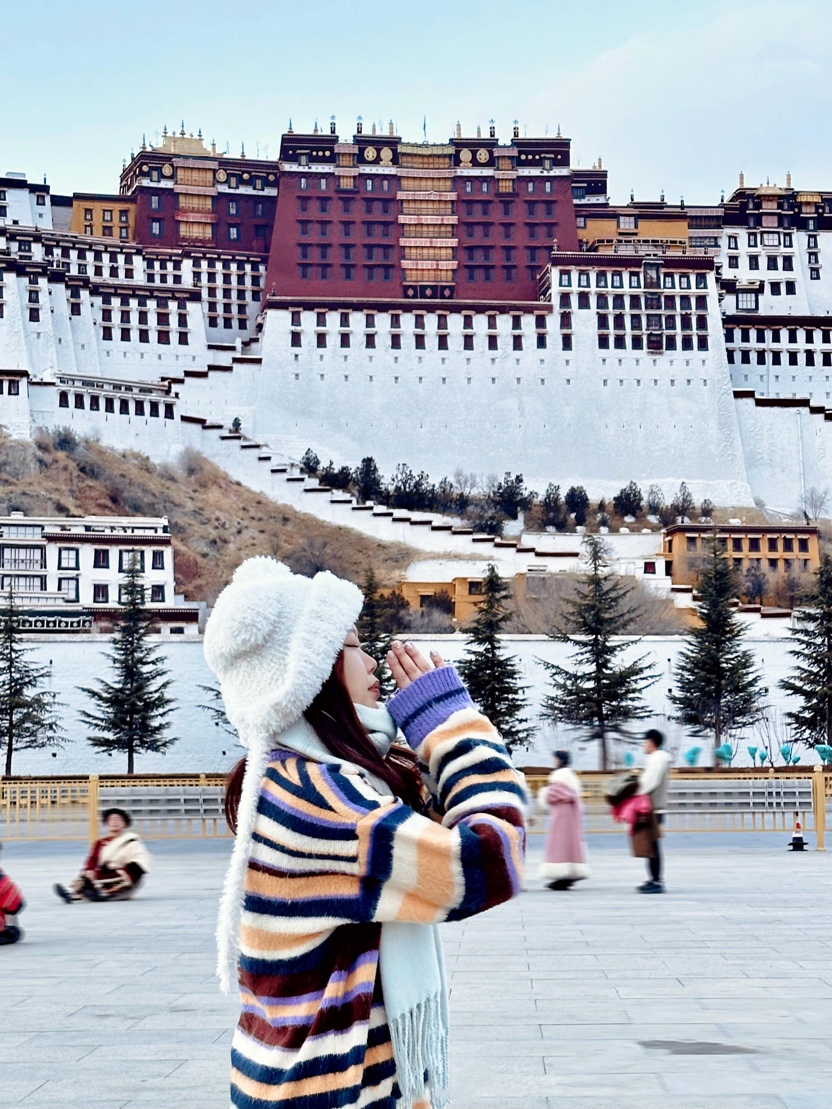 声色犬马打一个生肖、神秘解释落实