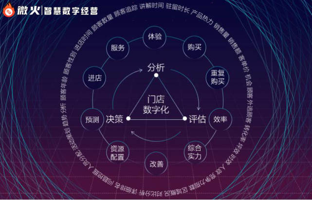 揭竿四起,数字背后的智慧与策略 揭竿四起,数字背后的智慧与策略