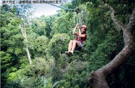 艳阳高照暖大地,生肖之谜的快速解答与落实 艳阳高照暖大地,生肖之谜的快速解答与落实
