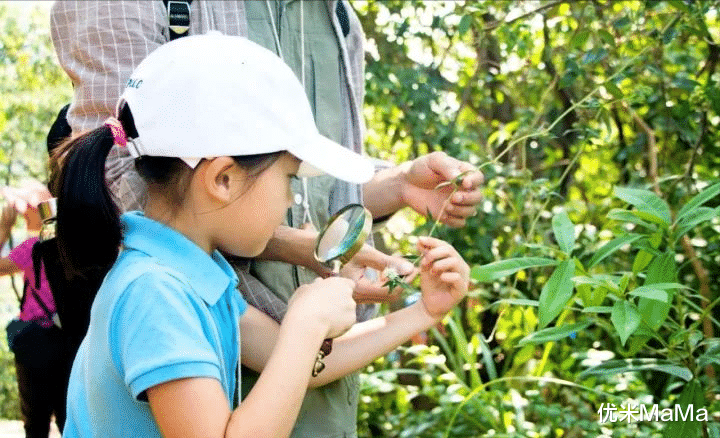 东张西望的动物—探索自然界的观察与信任 东张西望的动物—探索自然界的观察与信任