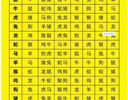 马工枚速打一生肖:权威揭晓落实 马工枚速打一生肖:权威揭晓落实