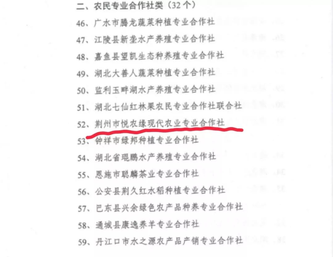 嫌肥挑瘦打一正确生肖、能人作答落实解释 嫌肥挑瘦打一正确生肖、能人作答落实解释
