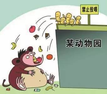 童叟无欺打一准确生肖、激励作答落实解释 童叟无欺打一准确生肖、激励作答落实解释