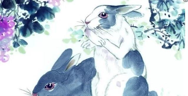 百死一生是什么生肖:最新解释落实