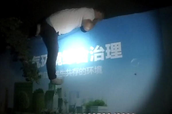 慌不择路,揭秘生肖背后的故事与寓意 慌不择路,揭秘生肖背后的故事与寓意