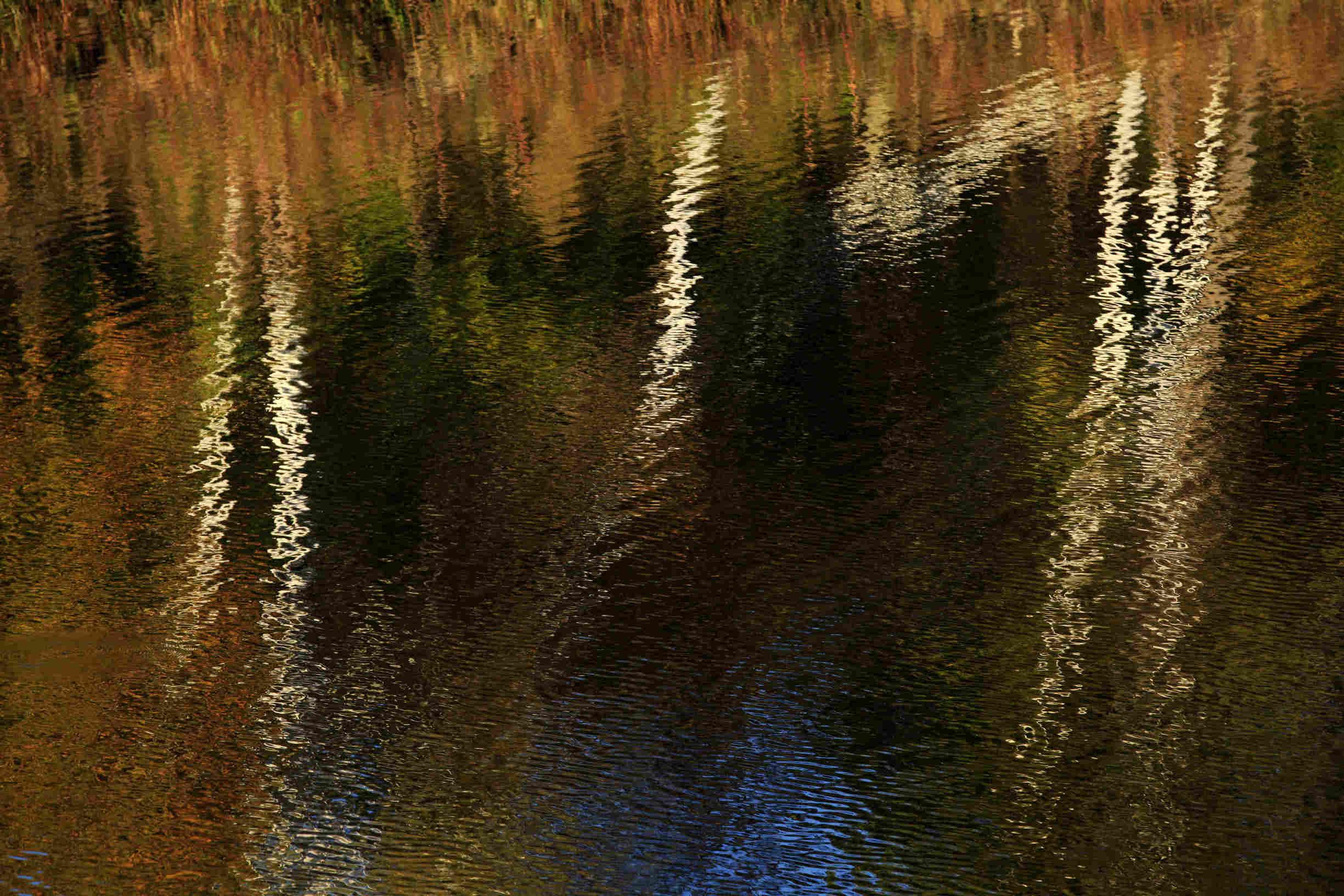 乐不思蜀,生肖之谜的经典解释 乐不思蜀,生肖之谜的经典解释