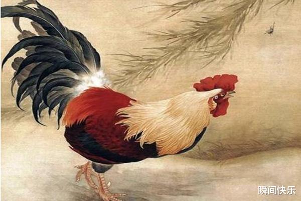 花拳绣腿是什么生肖、选择解释落实 花拳绣腿是什么生肖、选择解释落实