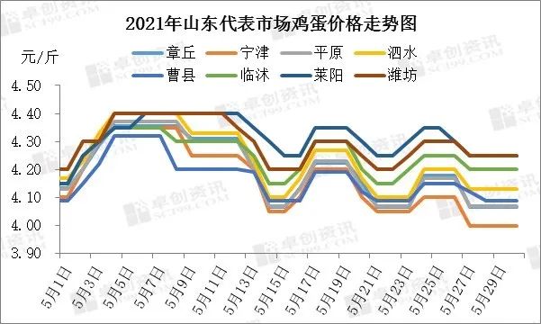 山东今日鸡蛋价格,最新解释与落实 山东今日鸡蛋价格,最新解释与落实