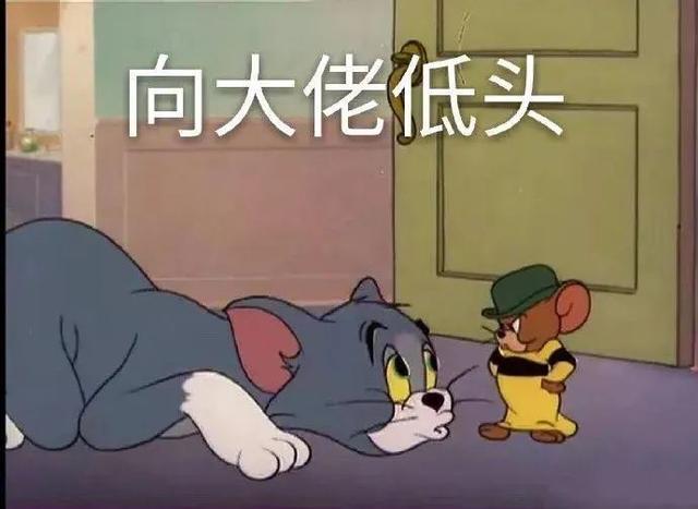 老鼠过街,揭秘生肖之首的智慧与挑战 老鼠过街,揭秘生肖之首的智慧与挑战