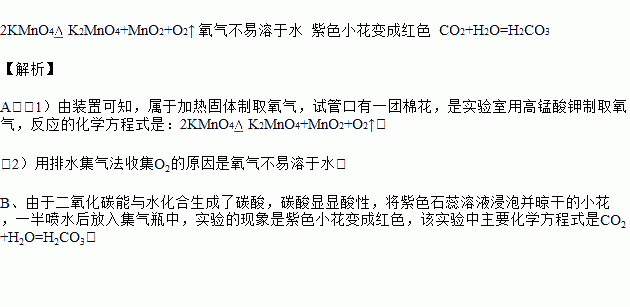 破茧成蝶,从囿于见闻到积极作答—解析生肖之谜 破茧成蝶,从囿于见闻到积极作答—解析生肖之谜