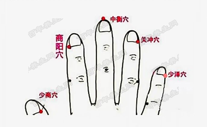 三尺童子指一个准确生肖:经典解释作答落实