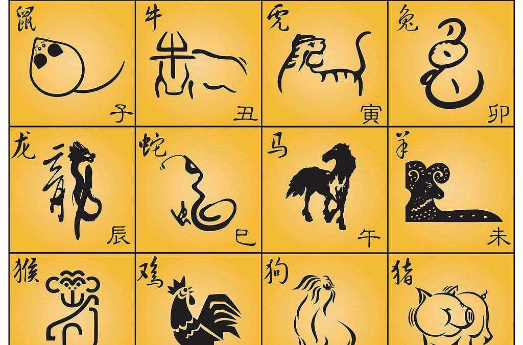 知情不报，生肖之谜的精彩解读