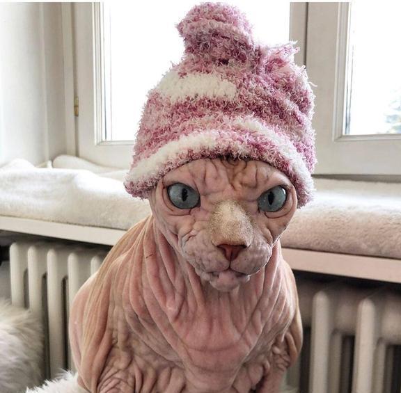 毛头毛脑打一肖、继续解释落实