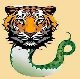 虎头蛇尾打一生肖、最佳解释落实 虎头蛇尾打一生肖、最佳解释落实