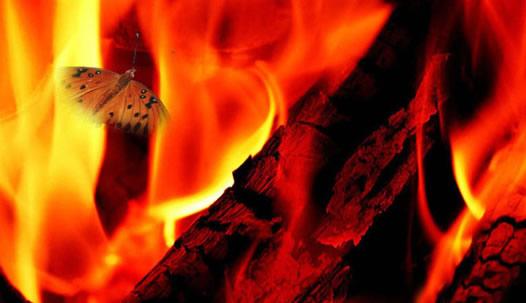 飞蛾扑火打一准确生肖:谜底即将揭晓落实 飞蛾扑火打一准确生肖:谜底即将揭晓落实