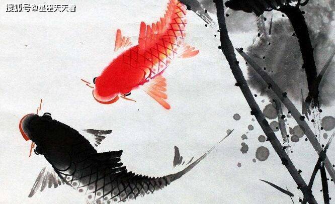 解析如鱼得水与生肖的奇妙联系，揭秘正确答案及其实践意义