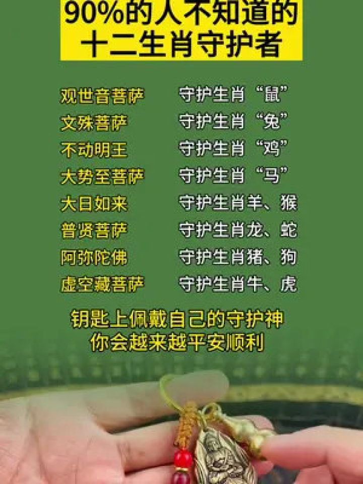 明打明敲，揭示生肖文化中的智慧与支持解释落实的哲学