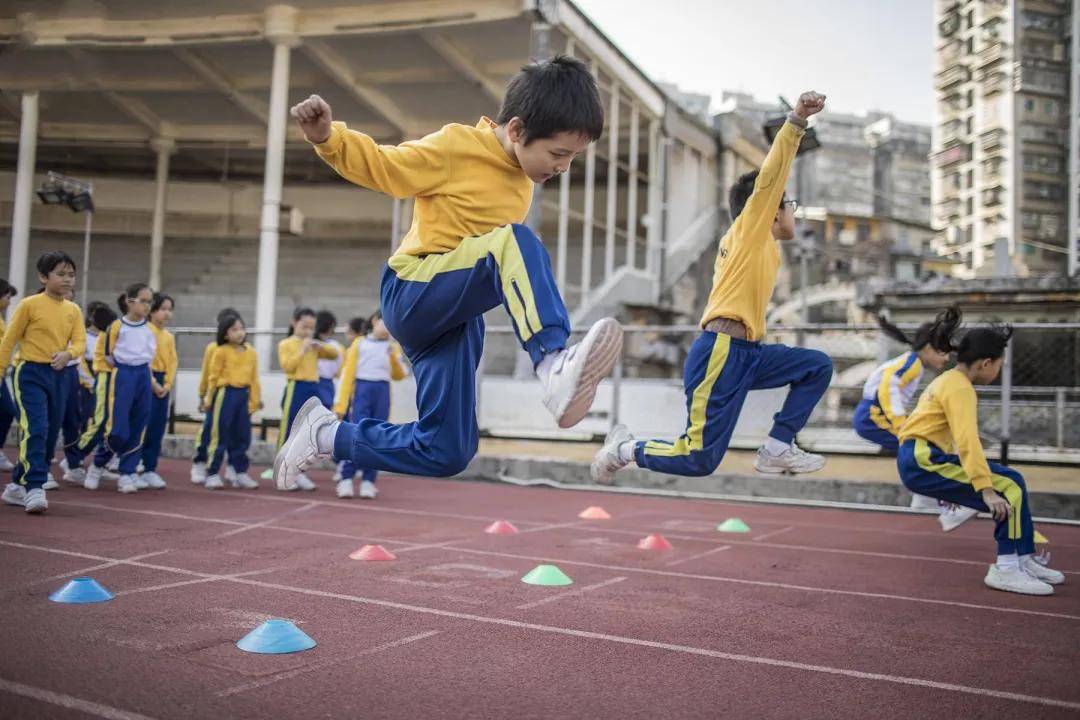 竹子生来节节高,生肖之谜与新型解释落实 竹子生来节节高,生肖之谜与新型解释落实