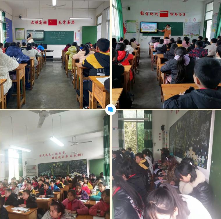 揭秘受夹板罪打一正确生肖的谜题，词语解析与解答落实