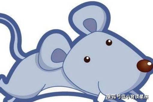 装怯作勇，揭秘属鼠人的独特魅力