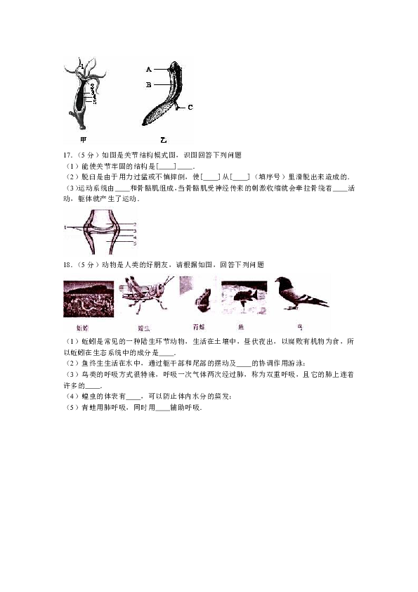 精准解析四平八稳与生肖的奥秘