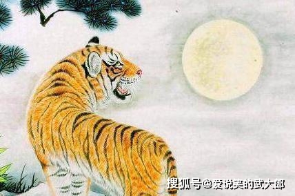 为虎作伥猜一生肖、交流解释落实 为虎作伥猜一生肖、交流解释落实