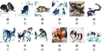 探索美不胜收背后的生肖奥秘,以兔为例的创造与解释 探索美不胜收背后的生肖奥秘,以兔为例的创造与解释