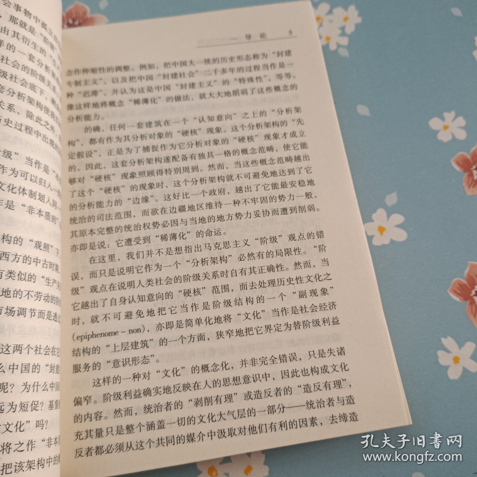 仰面朝天打最佳生肖，深度解析与文化解读