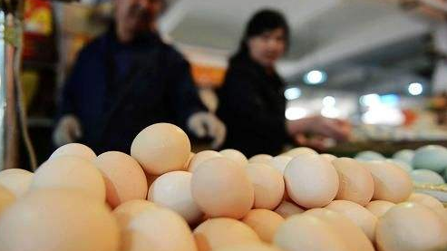 鸡蛋与猪价,市场波动背后的答案与应对策略 鸡蛋与猪价,市场波动背后的答案与应对策略
