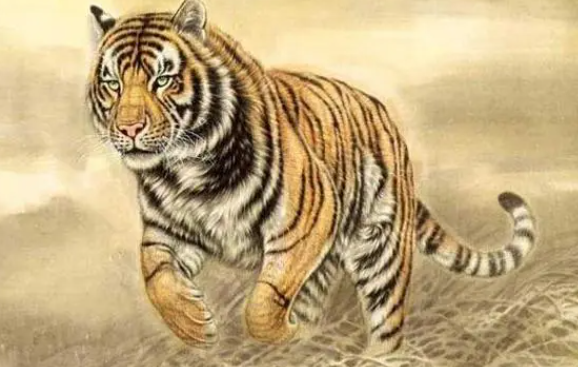 力争上游是什么生肖:词语解析解答落实