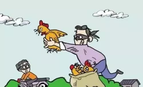 偷鸡摸狗,揭秘背后的生肖寓意与正确行为导向 偷鸡摸狗,揭秘背后的生肖寓意与正确行为导向